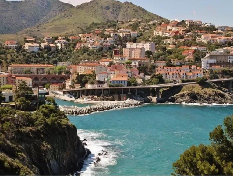 Appart F3 A 150 M De La Plage Avec Parking Prive Cerbère Kültér fotó