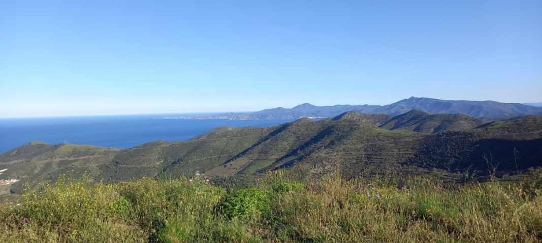 Appart F3 A 150 M De La Plage Avec Parking Prive Cerbère Kültér fotó