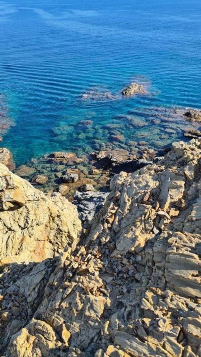 Appart F3 A 150 M De La Plage Avec Parking Prive Cerbère Kültér fotó