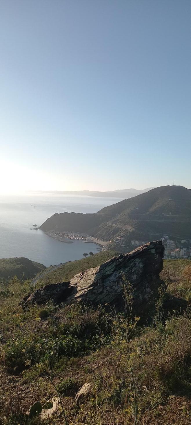 Appart F3 A 150 M De La Plage Avec Parking Prive Cerbère Kültér fotó